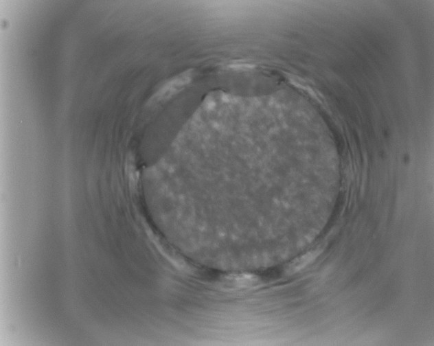 X0000061140427200512091938