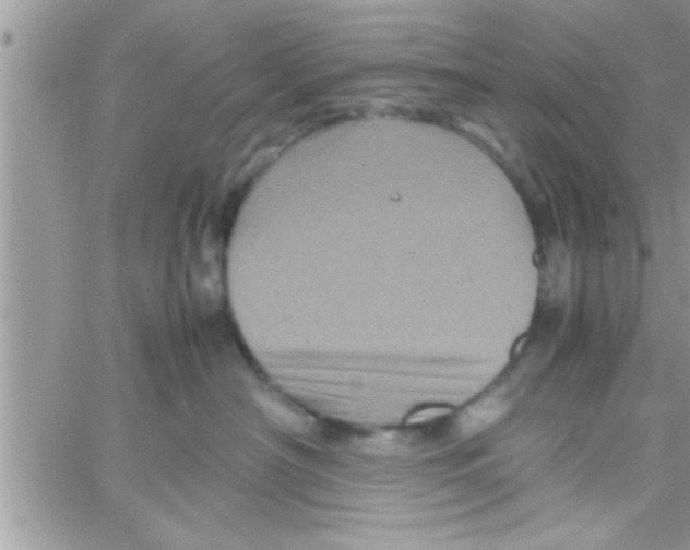 X0000061140430200512091938