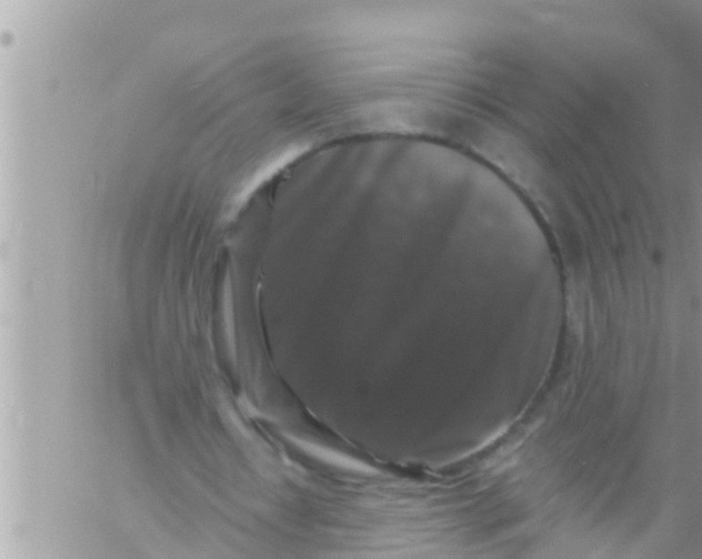 X0000061140434200512091938