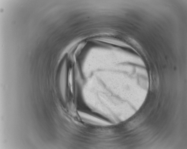 X0000061140435200512091938