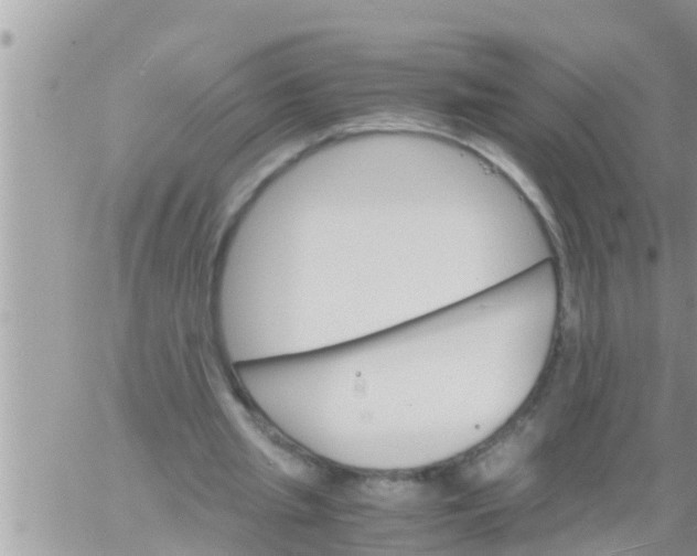 X0000061140437200512091938