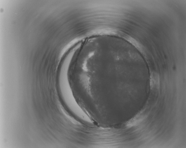 X0000061140438200512091938