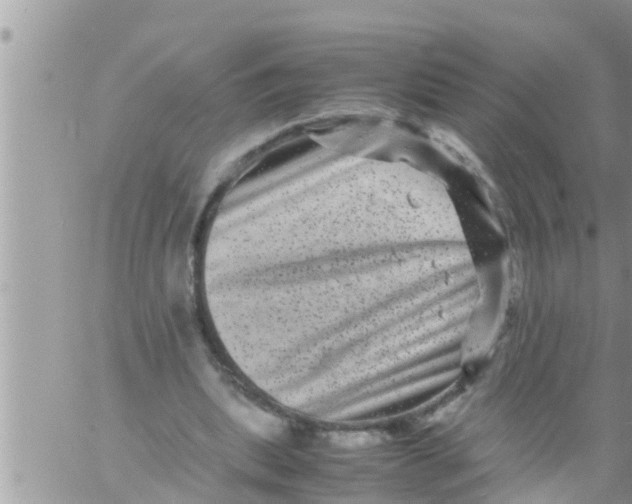 X0000061140439200512091938