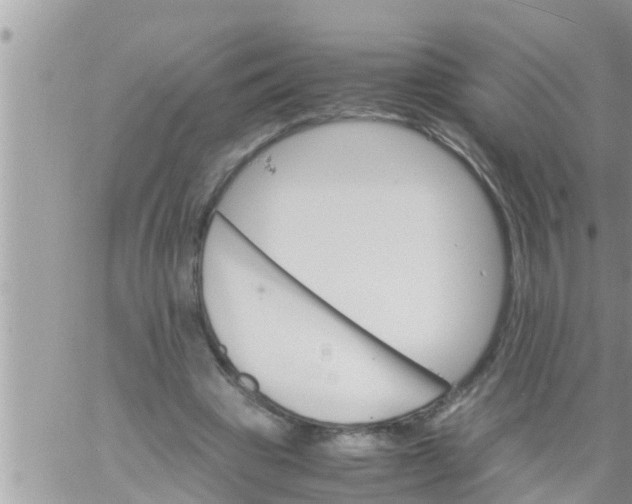 X0000061140441200512091938