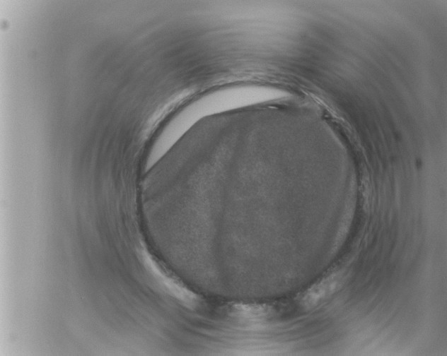 X0000061140442200512091938