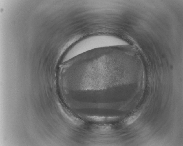 X0000061140443200512091938