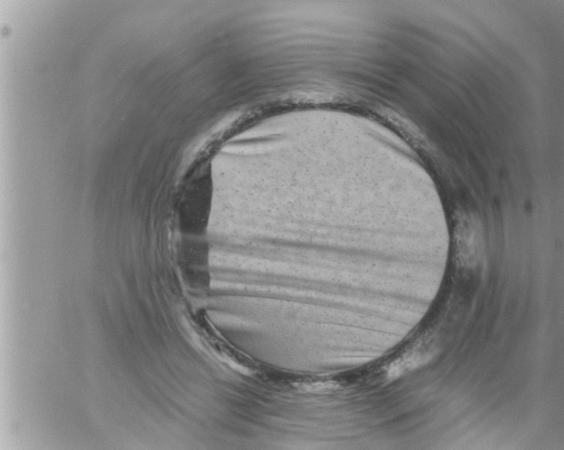 X0000061140446200512091938