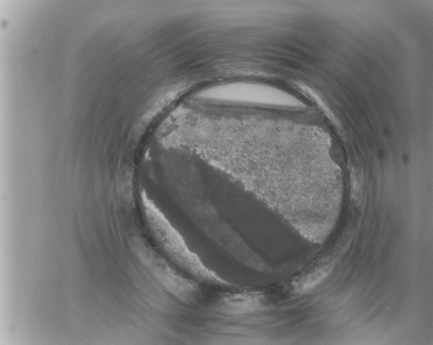 X0000061140447200512091938