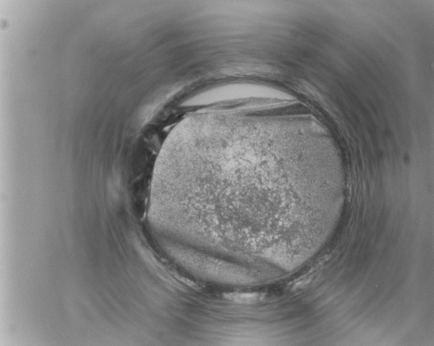 X0000061140448200512091938