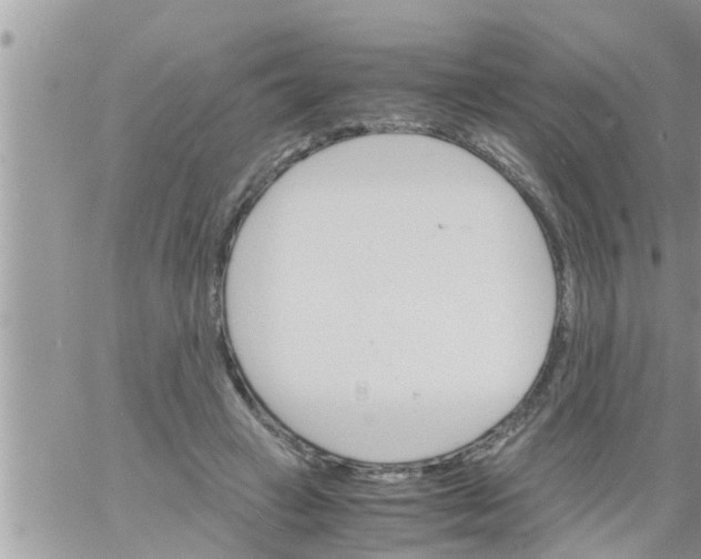 X0000061140449200512091938