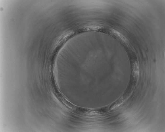 X0000061140451200512091938