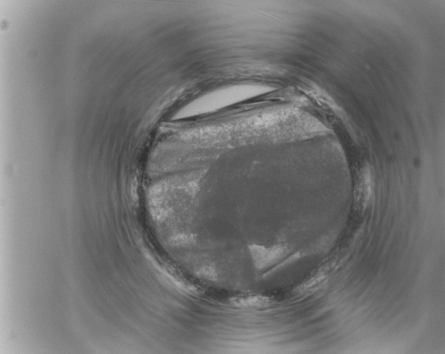 X0000061140452200512091938