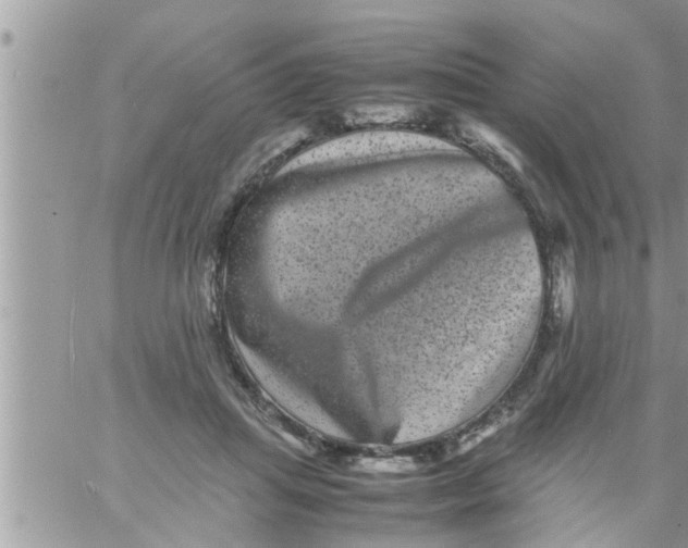 X0000061140455200512091938