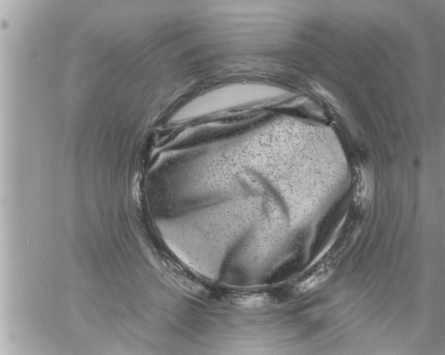 X0000061140456200512091938