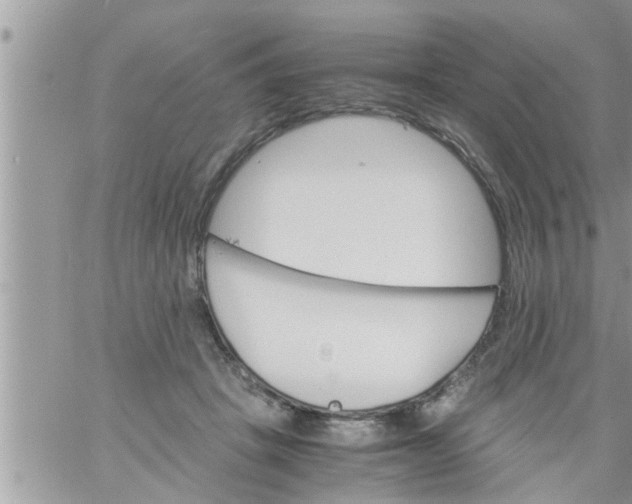 X0000061140457200512091938