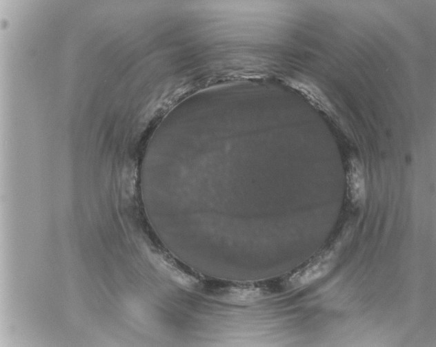 X0000061140458200512091938