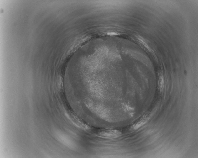 X0000061140459200512091938