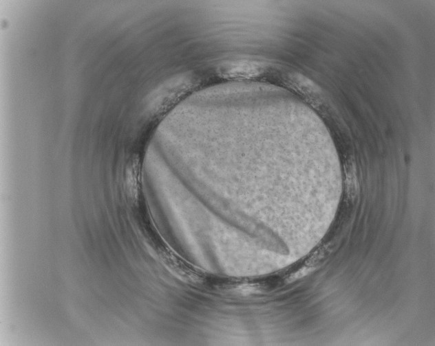 X0000061140460200512091938