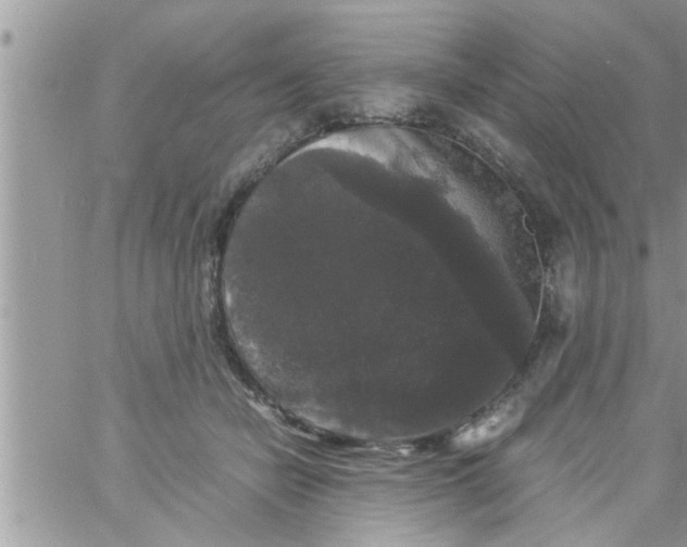 X0000061140462200512091938