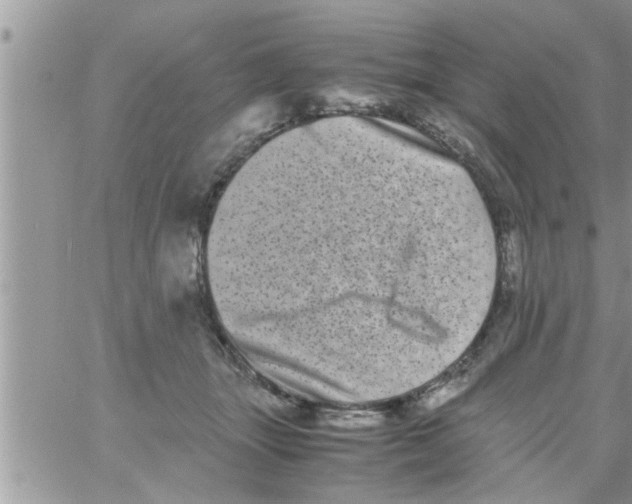 X0000061140463200512091938