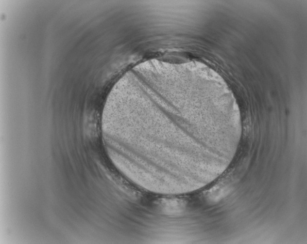 X0000061140464200512091938