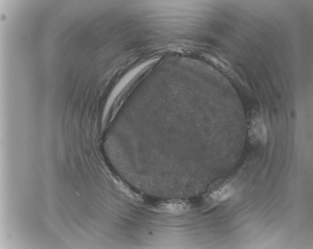 X0000061140466200512091938