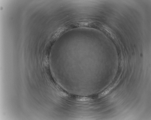 X0000061140467200512091938