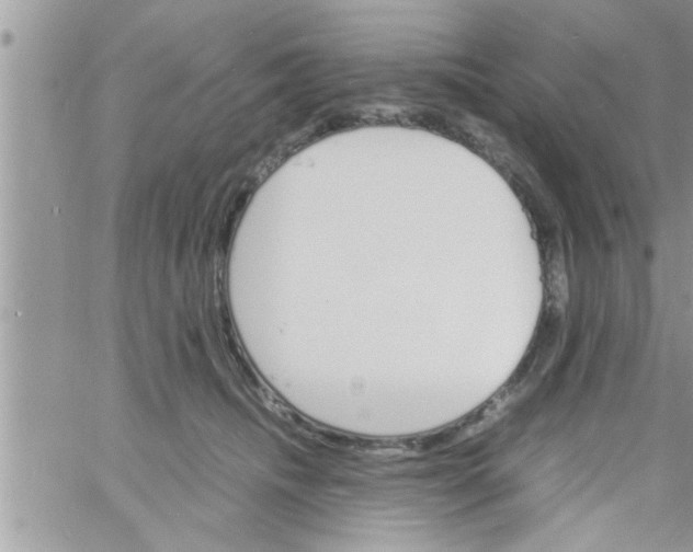 X0000061140468200512091938