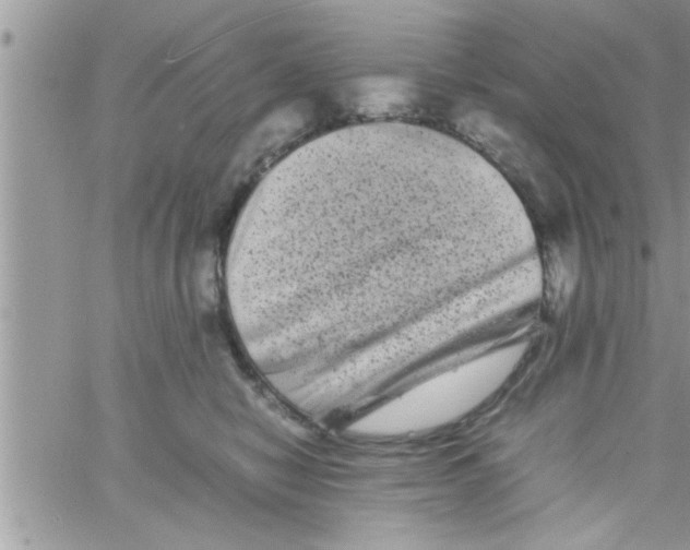 X0000061140470200512091938