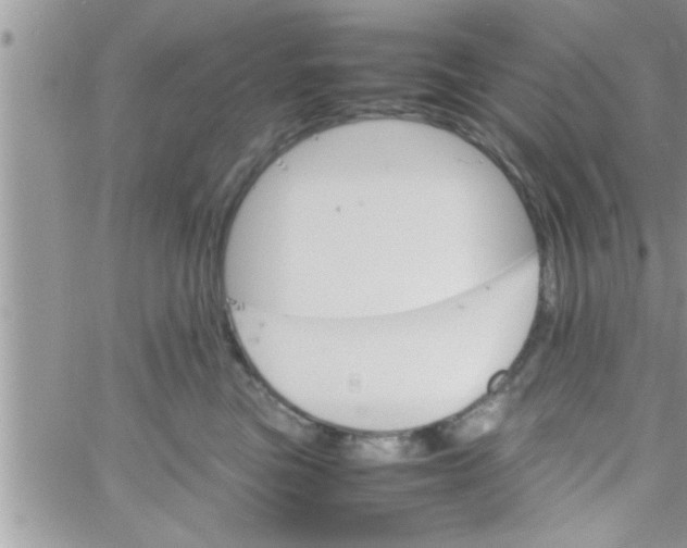 X0000061140473200512091938