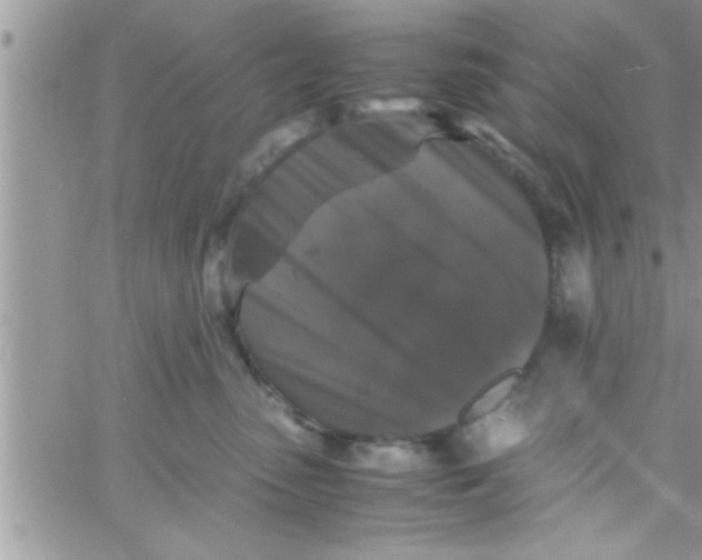 X0000061140475200512091938