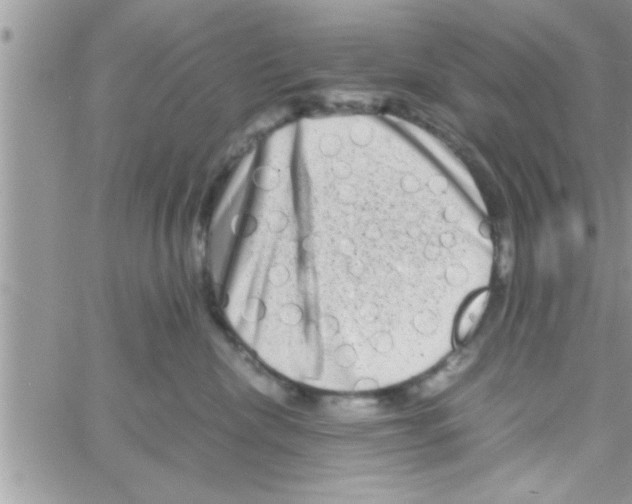 X0000061140476200512091938