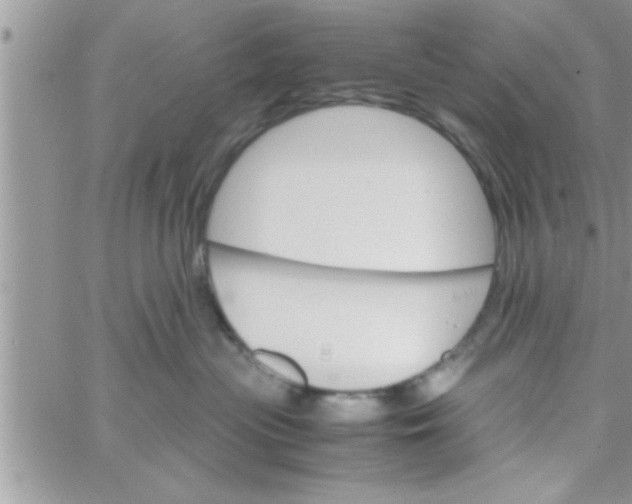 X0000061140477200512091938