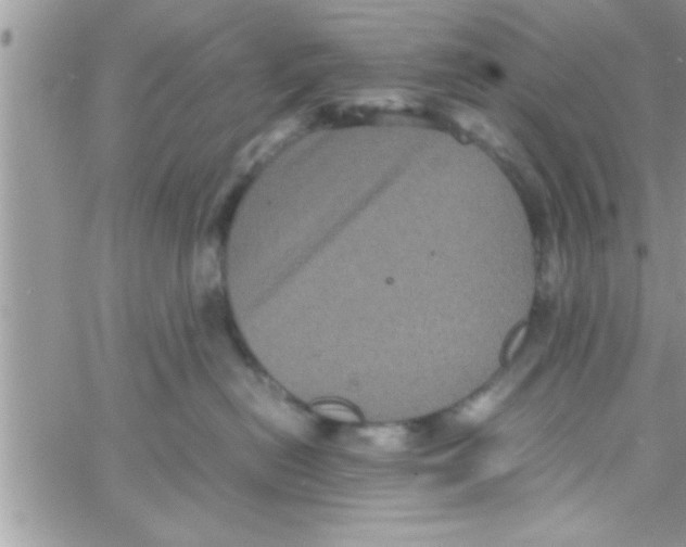 X0000061140478200512091938