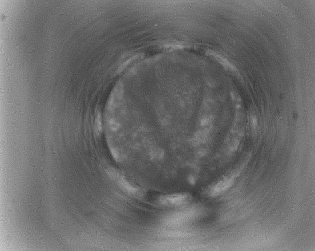 X0000061140479200512091938