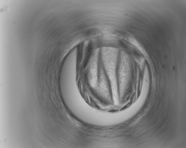 X0000061140481200512091938