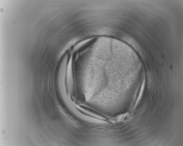 X0000061140482200512091938