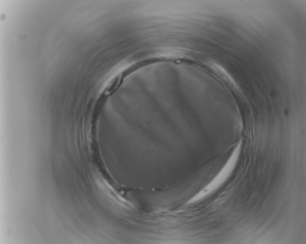 X0000061140484200512091938