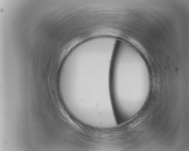 X0000061140485200512091938