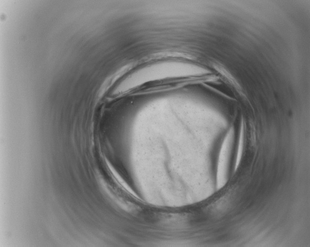 X0000061140486200512091937