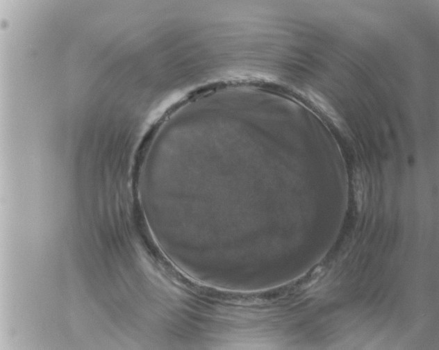 X0000061140488200512091937