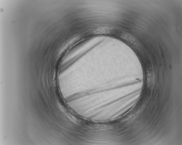 X0000061140490200512091937