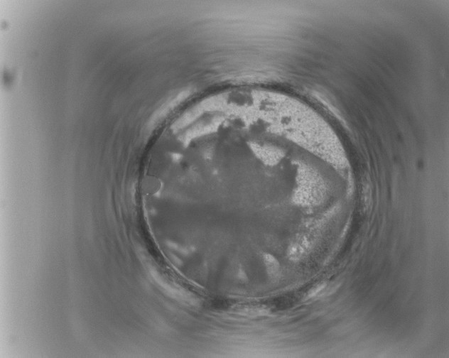 X0000061140491200512091937