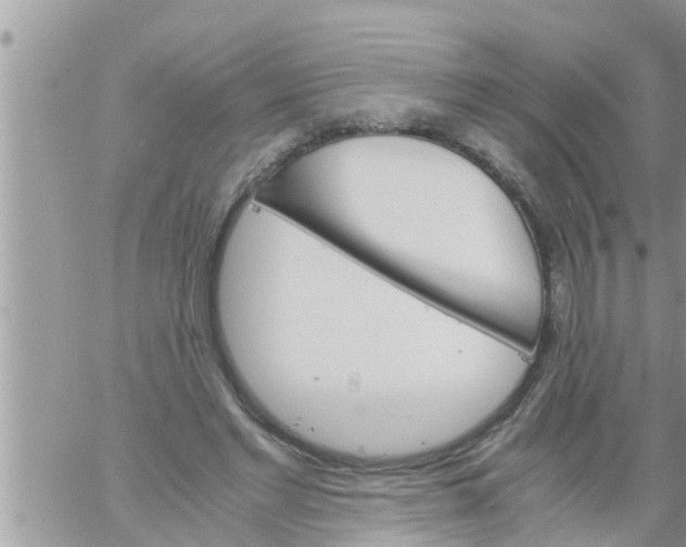 X0000061140493200512091937