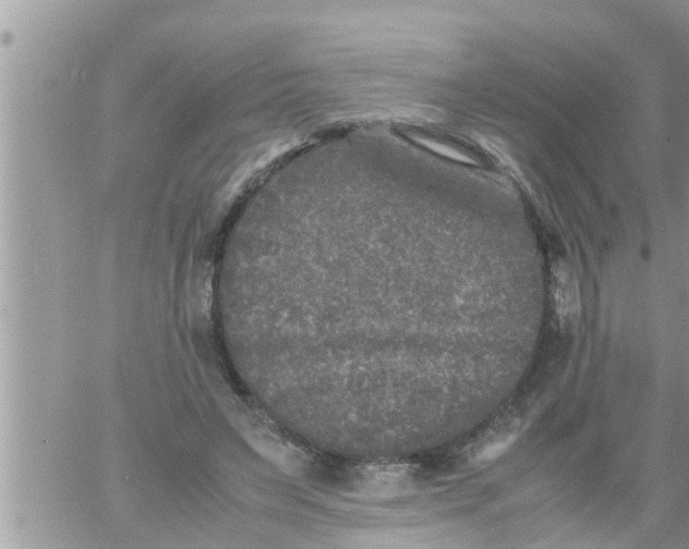 X0000061140495200512091937