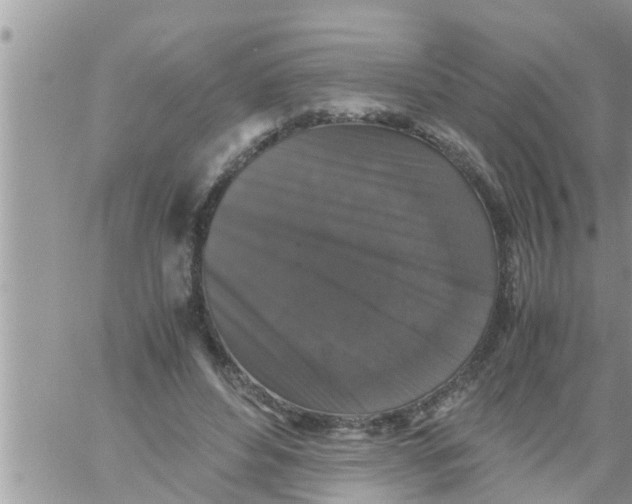 X0000061140496200512091937