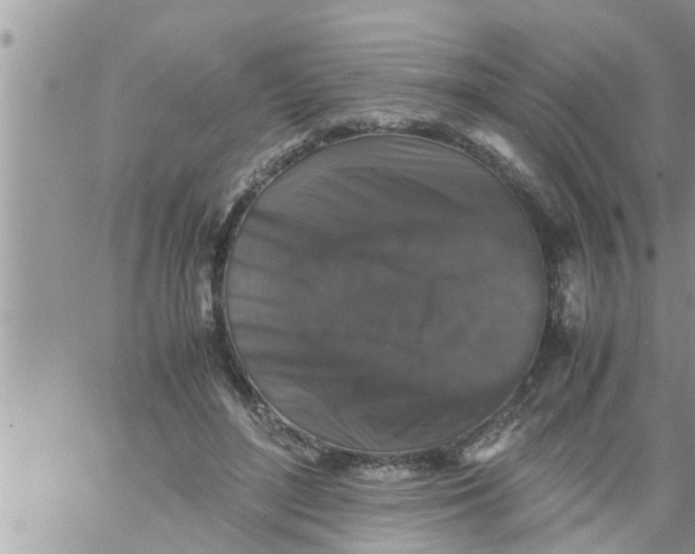 X0000061140500200512091937