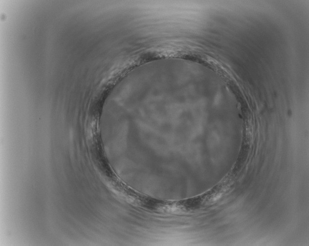 X0000061140503200512091937