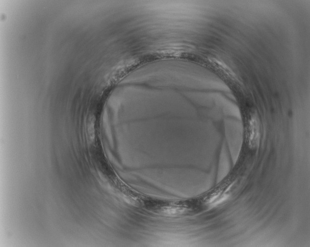 X0000061140504200512091937