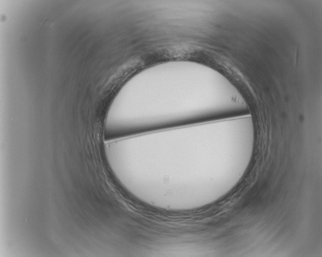 X0000061140505200512091937